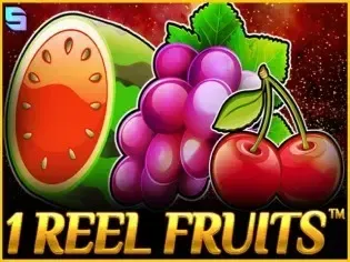 1 Reel Fruits screenshot